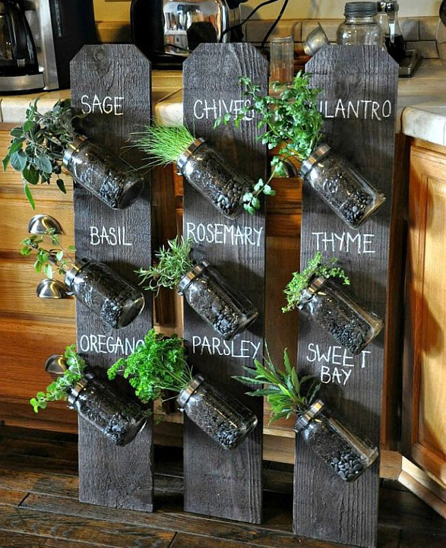 Indoor herb garden with mason jars