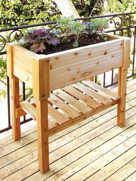 Apartment Gardening