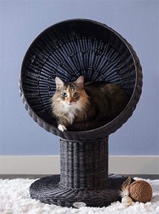 Chester Apartment Cat Furniture