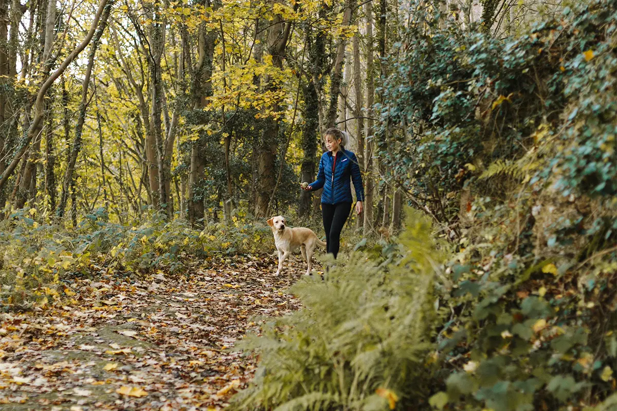 Dog walking trails in Chester