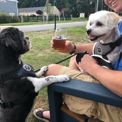 Three Leg Run Brewery Chester VA pet friendly restaurants