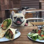 Dining with Fido – Dog-Friendly Restaurants in Chester, VA