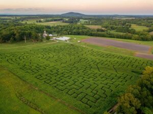 Corn Maze in Virginia