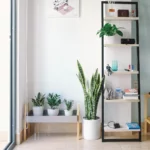Sustainable Apartment Living: Practical Tips for a Greener Home