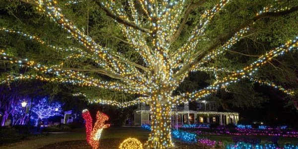 GardenFest of Lights at Lewis Ginter Botanical Garden