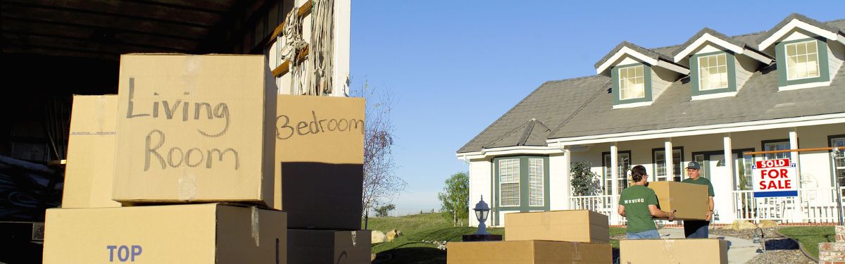 best movers near Chester VA