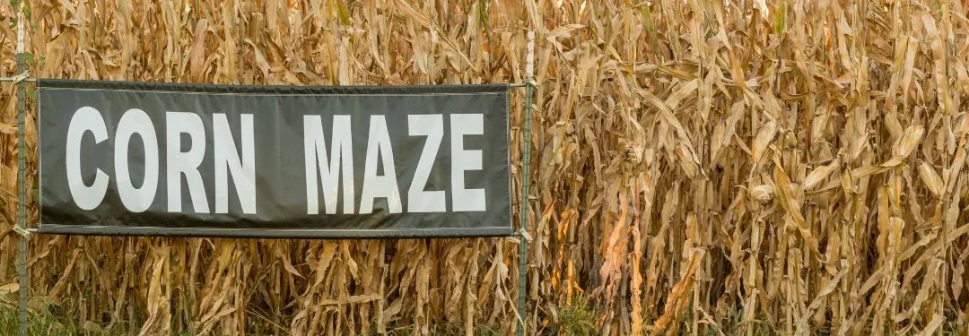 Virginia Corn Mazes: A-MAZE-ing Fall Adventures