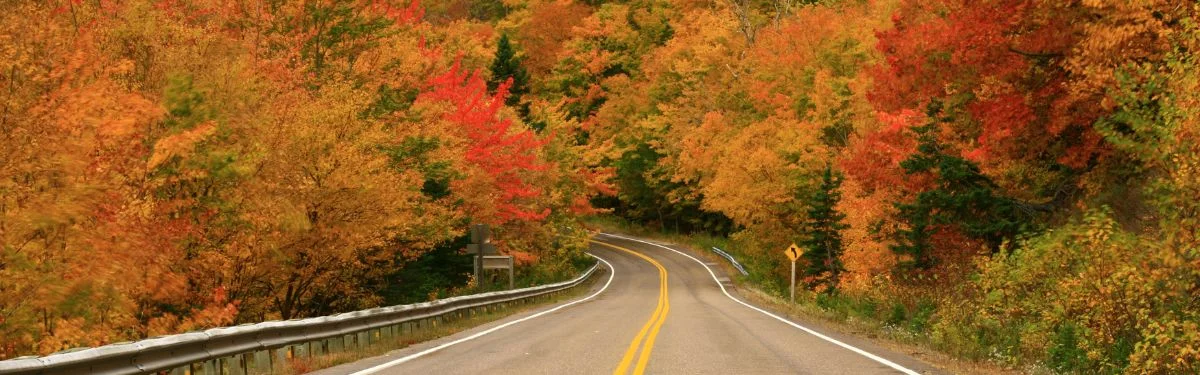 Magnificent Fall Leaf Viewing in Virginia